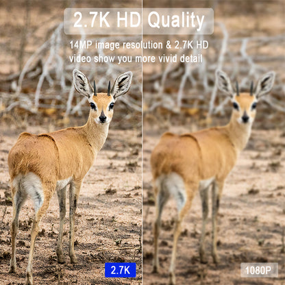 AOVO H2 4G LTE Vadász Kamera – 14MP, 2.7K, Élő Közvetítés