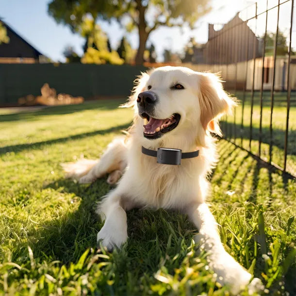Vezetékes Láthatatlan Kutyakerítés Szett – Vízálló Nyakörvvel, 300 m Kábel, 5-50 kg kutyáknak