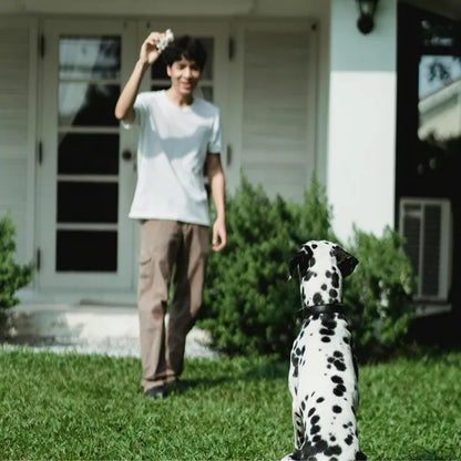 Vezetékes Láthatatlan Kutyakerítés Szett – Vízálló Nyakörvvel, 300 m Kábel, 5-50 kg kutyáknak